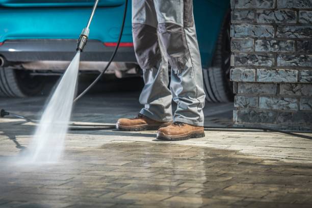 Best Building Exterior Washing  in San Augustine, TX
